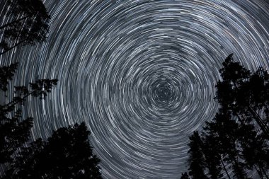 Gece gökyüzünde yıldız izleri. Yıldızlar bir kutup yıldızının etrafında döner. Ağaçların siluetleri