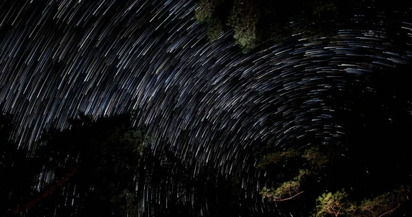 Star trails in the night sky. Stars move around a polar star. Silhouettes of trees