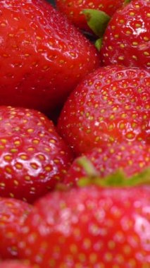 Sulu kırmızı olgun organik çilekler. Çilek arkaplanı. Yavaş çekim, doli, yakın çekim, dikey görüntü