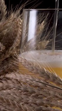 Bardağa bira döküyorum. Bira bardağını buğday kulaklı, dikey görüntülü kapat