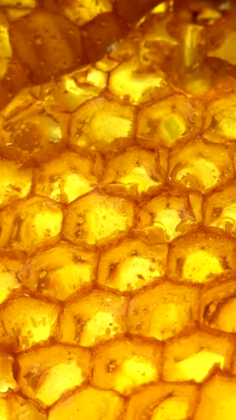 Χρυσό Μέλι Ρέει Από Την Κηρήθρα Υγιεινά Τρόφιμα Έννοια Κοντινό — Αρχείο Βίντεο