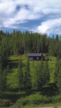 Norveç dağlarında bir orman ve göl üzerinde uçarken, dikey görüntüler