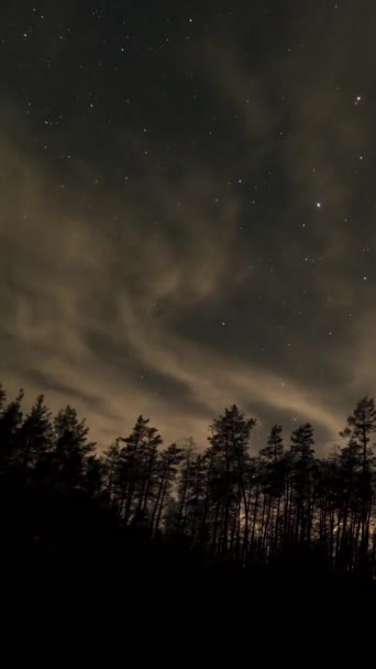 Time Lapse Moving Stars Clouds Forest Night Sky Epic Video — Stock Video