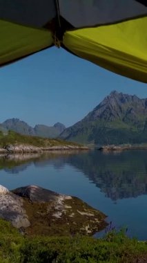 İnsansız hava aracı Norveç fiyordunun kıyısındaki bir çadırın içinden uçuyor. Macera ve seyahat konsepti. Lofoten Adaları, dikey görüntüler