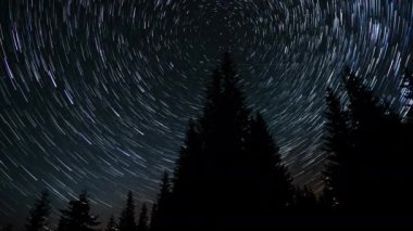 Kuyrukluyıldız şeklindeki yıldızların gece gökyüzünde orman boyunca zaman geçişi. Yıldızlar bir kutup yıldızının etrafında döner. 4K