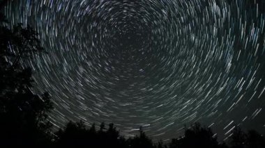 Kuyrukluyıldız şeklindeki yıldızların gece gökyüzünde orman boyunca zaman geçişi. Yıldızlar bir kutup yıldızının etrafında döner. 4K