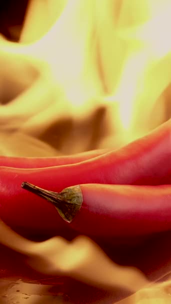 Ζεστές Κόκκινες Πιπεριές Τσίλι Στις Φλόγες Μαύρο Φόντο Πικάντικη Ιδέα — Αρχείο Βίντεο