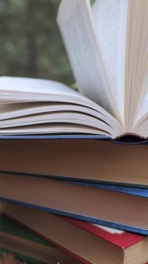 Ormanda istiflenmiş kitaplar. Öğrenme, okuma ve bilgi kavramı. Yakın plan. Arka plan bulanık. Dikey video