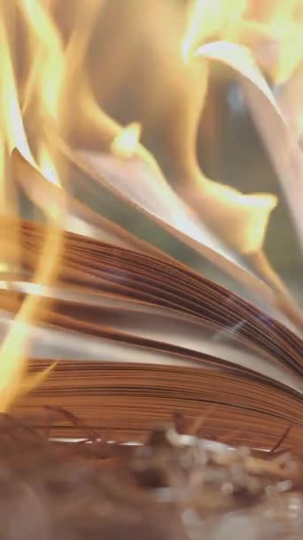 Åpen Bok Brann Stor Lys Flamme Brennende Papir Gammel Publisering – stockvideo