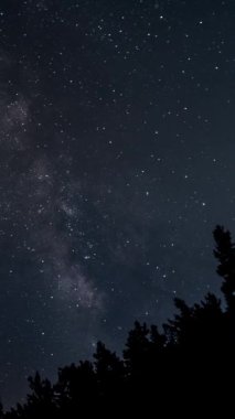Hareket eden yıldızların ve Samanyolu 'nun gece gökyüzünde zaman aşımı, dikey video