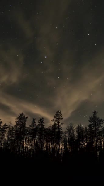 Time Lapse Moving Stars Clouds Forest Night Sky Vidéo Épique — Video
