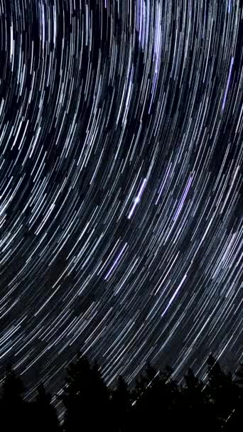 Gece Gökyüzünde Yıldız Zaman Atlaması Yıldızlar Bir Kutup Yıldızının Etrafında — Stok video