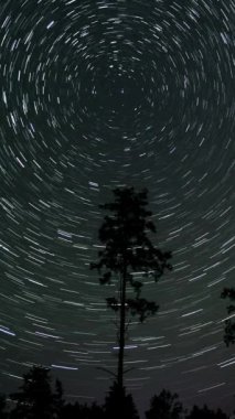 Gece gökyüzünde Yıldız 'ın zaman atlaması. Yıldızlar bir kutup yıldızının etrafında döner. Destansı video, dikey görüntü