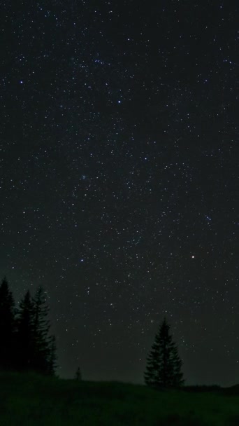 夜空の山の上に星を移動する時間の経過 星空の夜の背景 エピックビデオ 垂直映像 — ストック動画