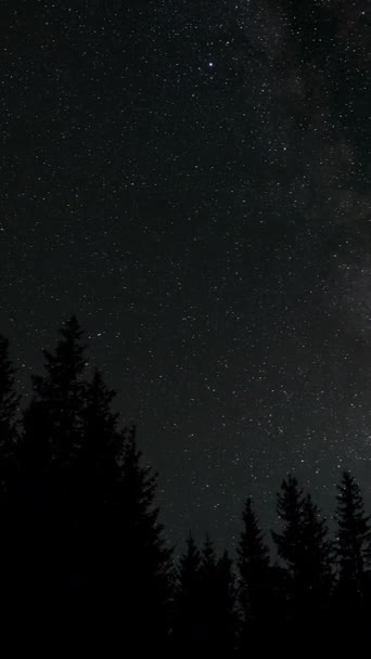 Upływ Czasu Galaktyki Drogi Mlecznej Porusza Się Nad Lasem Gwiaździstą — Wideo stockowe