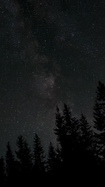Lapso Tiempo Vía Láctea Galaxy Mueve Sobre Bosque Una Noche — Vídeos de Stock