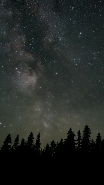 Проміжок Часу Галактики Чумацького Шляху Рухається Над Силуетами Дерев Зоряний — стокове відео