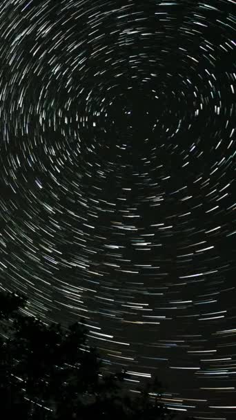 Проміжок Часу Комети Формі Зірок Над Лісом Нічному Небі Зорі — стокове відео