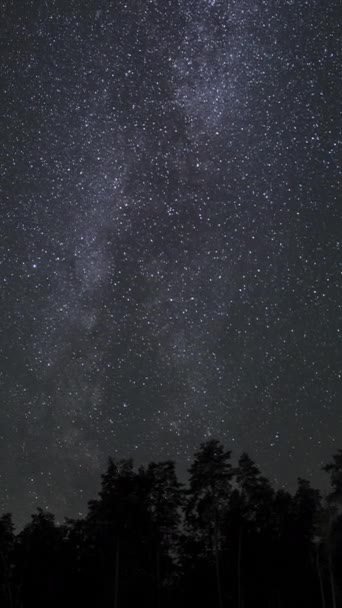Time Lapse Milky Way Galaxy Moves Silhouettes Trees Starry Night — Stock Video