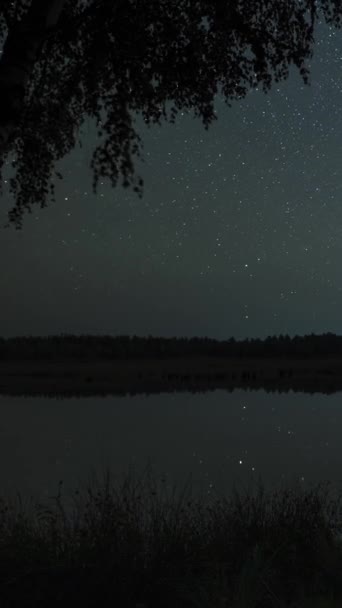 Zeitraffer Bewegen Sich Die Sterne Nachthimmel Über Dem See Sterne — Stockvideo