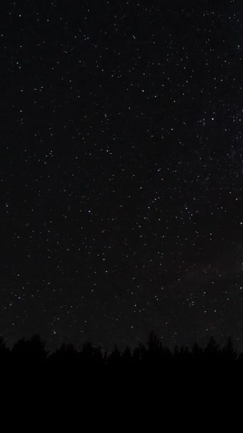 夜空の森の上に星を移動する時間の経過 星空の夜の背景 エピックビデオ 垂直映像 — ストック動画