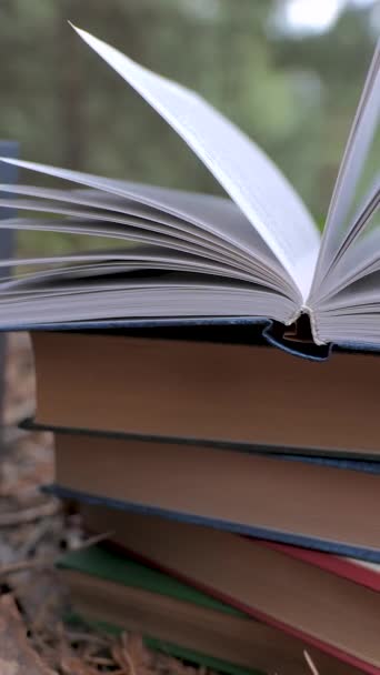 Staplade Böcker Skogen Begreppet Lärande Läsning Och Kunskap Närbild Oklar — Stockvideo