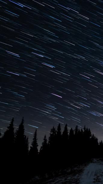 Tijdsverloop Van Komeetvormige Sterrensporen Boven Het Bos Aan Nachtelijke Hemel — Stockvideo