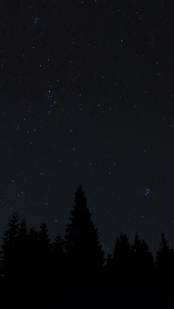 夜空の森の上に星を移動する時間の経過 星空の夜の背景 エピックビデオ 垂直映像 — ストック動画