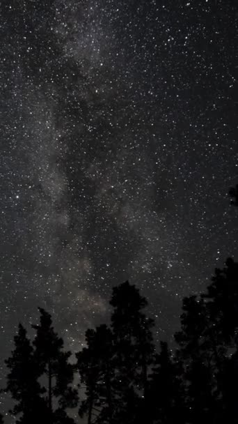 Časová Prodleva Galaxie Mléčné Dráhy Pohybuje Nad Siluetami Stromů Hvězdné — Stock video