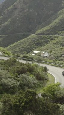 Yeşil orman ağaçları arasında bir dağ yolunda keskin bir dönemeç manzarası. İspanyol Kanaryaları 'nda Tenerife adasında güzel bir dağ yolunda giden arabalar dikey görüntüler.