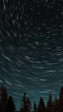 Kuyrukluyıldız şeklindeki yıldızların gece gökyüzünde orman boyunca zaman geçişi. Yıldızlar bir kutup yıldızının etrafında döner, dikey görüntüler