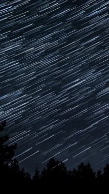 Yıldız 'ın gece gökyüzündeki ağaç siluetlerinin üzerindeki zaman aralıkları. Destansı video, dikey görüntü