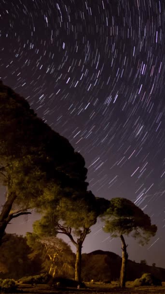 Tijd Verstrijken Van Star Trails Aan Nachtelijke Hemel Boven Bomen — Stockvideo