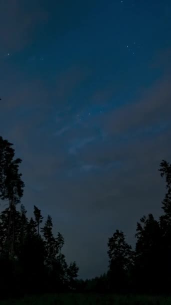 Time Lapse Moving Stars Clouds Forest Night Sky Epic Video — Stock Video