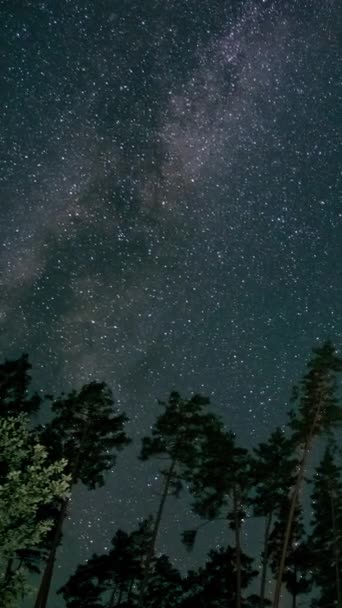 移动的星星和夜空中的银河的时间差 史诗视频 垂直镜头 — 图库视频影像