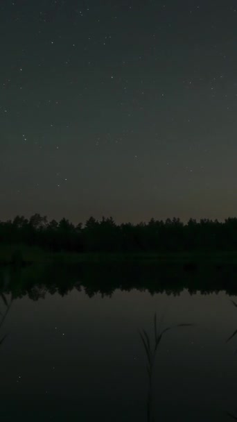 Lasso Tempo Delle Stelle Muove Nel Cielo Notturno Sul Lago — Video Stock