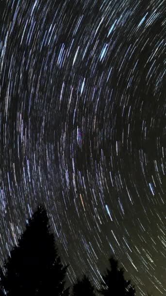 Yıldızların Gece Gökyüzünde Yer Değiştirmesi Yıldızların Kutup Yıldızının Etrafında Hareket — Stok video