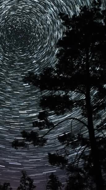 Gece Gökyüzünde Yıldız Zaman Atlaması Yıldızlar Bir Kutup Yıldızının Etrafında — Stok video
