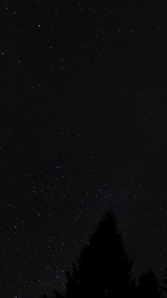 Lapso Tiempo Estrellas Movimiento Sobre Bosque Cielo Nocturno Fondo Nocturno — Vídeo de stock