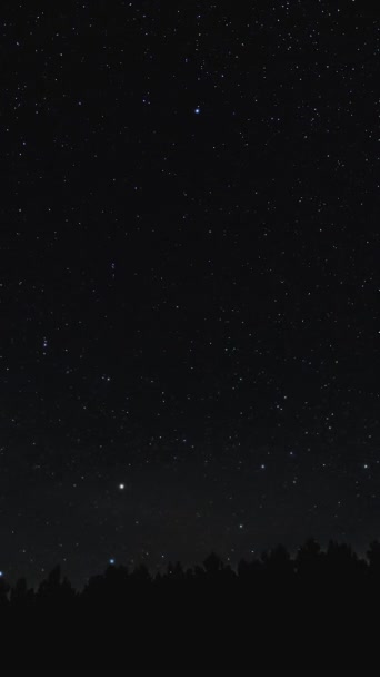 Lapso Tiempo Estrellas Movimiento Sobre Bosque Cielo Nocturno Fondo Nocturno — Vídeos de Stock
