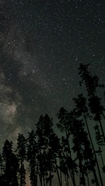 Временной Промежуток Движущихся Звезд Млечный Путь Ночном Небе Эпическое Видео — стоковое видео