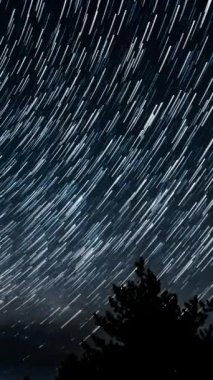Yıldız 'ın gece gökyüzündeki ağaç siluetlerinin üzerindeki zaman aralıkları. Destansı video, dikey görüntü