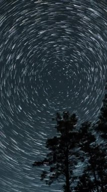 Kuyrukluyıldız şeklindeki yıldızların gece gökyüzünde orman boyunca zaman geçişi. Yıldızlar bir kutup yıldızının etrafında döner, dikey görüntüler