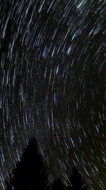 Yıldızların gece gökyüzünde yer değiştirmesi, yıldızların kutup yıldızının etrafında hareket etmesi, ağaç siluetlerinin üzerinde dikey görüntüler.