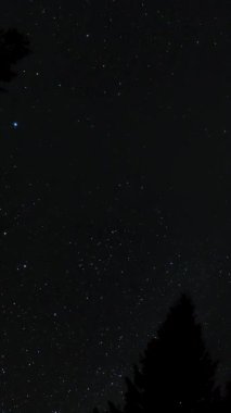Gece gökyüzündeki bir ormanın üzerinde hareket eden yıldızların zamanaşımı. Yıldızlı gece geçmişi. Destansı video, dikey görüntü