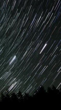 Kuyrukluyıldız şeklindeki yıldızların gece gökyüzünde orman boyunca zaman geçişi. Yıldızlar bir kutup yıldızının etrafında döner, dikey görüntüler