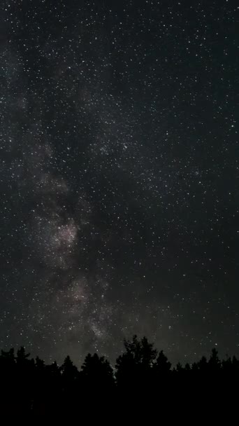 Временной Промежуток Галактики Млечный Путь Движется Над Силуэтами Деревьев Звездная — стоковое видео