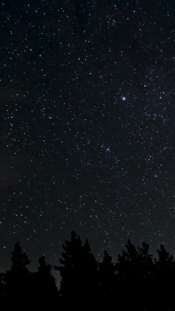 Временной Промежуток Движущихся Звезд Над Лесом Ночном Небе Звездная Ночь — стоковое видео
