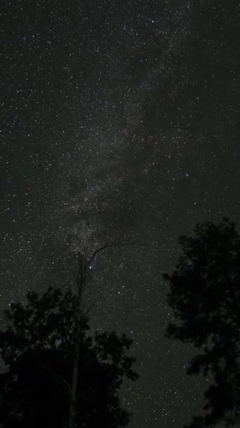 Tidsförloppet Vintergatans Galax Rör Sig Ovanför Trädens Silhuetter Stark Natt — Stockvideo