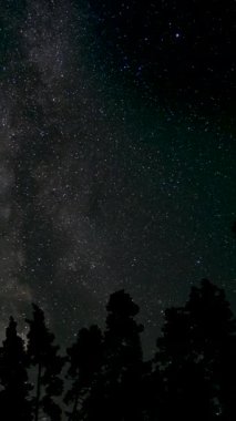 Hareket eden yıldızların ve Samanyolu 'nun gece gökyüzünde zaman atlaması, destansı video, dikey görüntüler